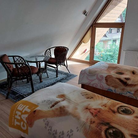 Apartamenty Cede Zakopane Eksteriør bilde