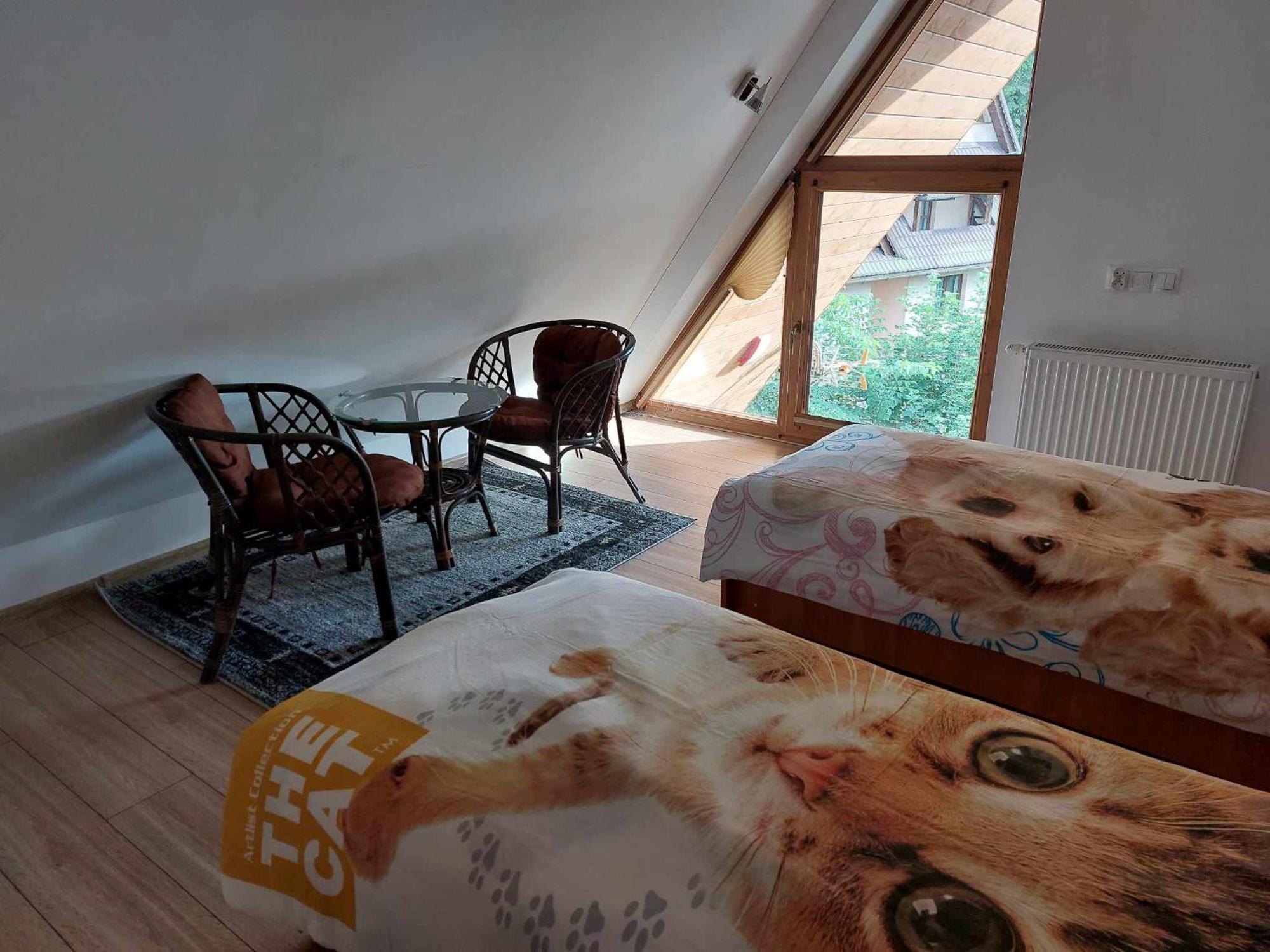 Apartamenty Cede Zakopane Eksteriør bilde